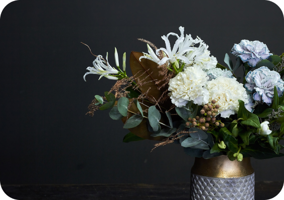 flowers against a black backdrop